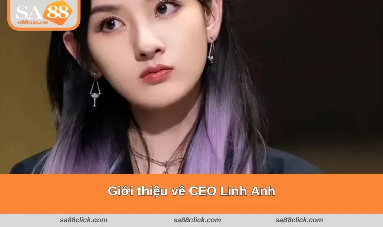 Giới thiệu những thông tin về CEO Linh Anh