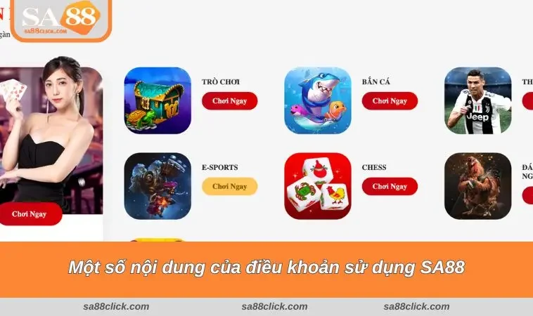 Một số nội dung của điều khoản sử dụng SA88